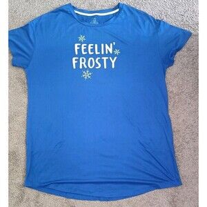 Secret Treasures Nightshirt Size XL  Feelin Frosty Blue Snowflake Womens Soft